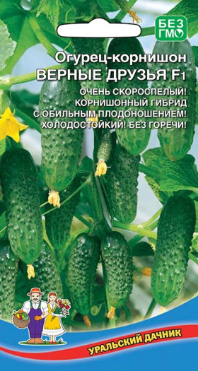 Верные Друзья Ц(УД) ()