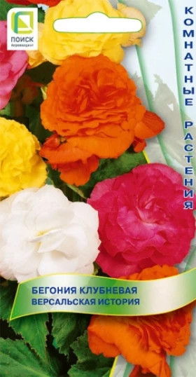 Версальская история клубневая Ц(Поиск)