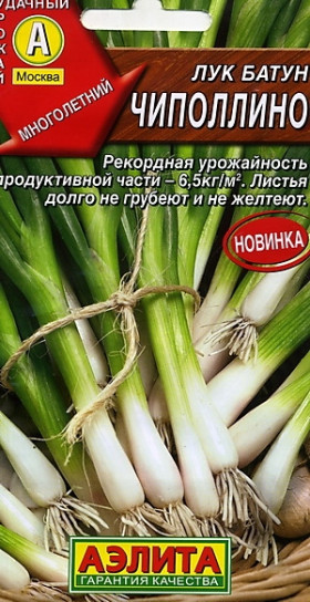 Батун Чиполлино Ц(А)