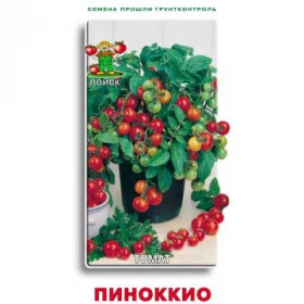 Пиноккио, комнт. Б(Поиск)