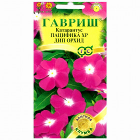 Пацифика ХР Дип Орхид Ц(Г)