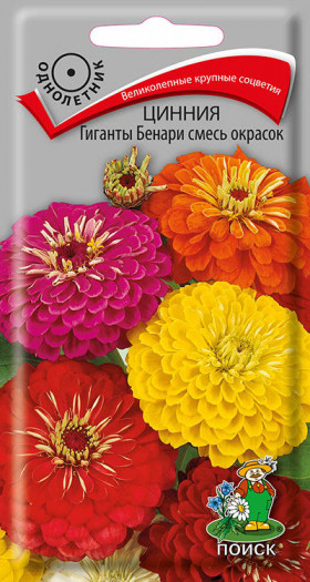 Гиганты Бенари, смесь Ц(Поиск)