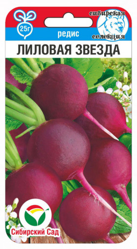 Лиловая звезда 2гр СС