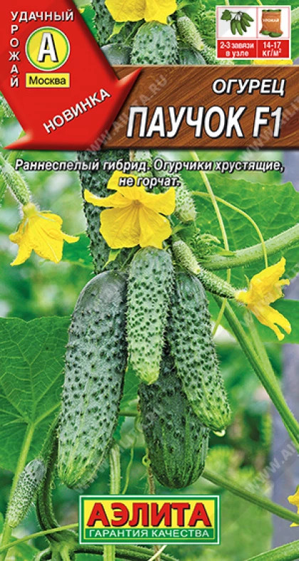 Паучок Ц(А)