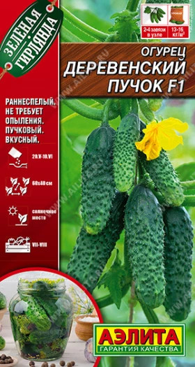 Деревенский пучок Ц(А)