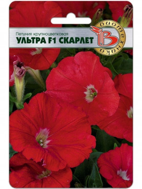 Ультра Скарлет крупноцв Биотехника