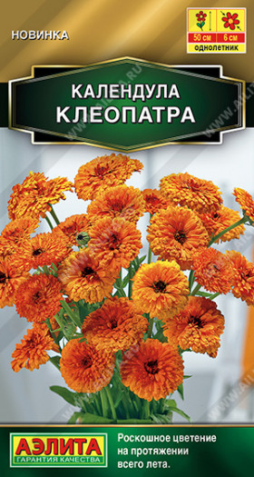 Клеопатра Ц(А)