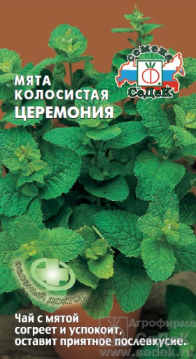 Церемония колосистая Ц(С)