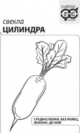 Цилиндра 3гр. Б(Г)