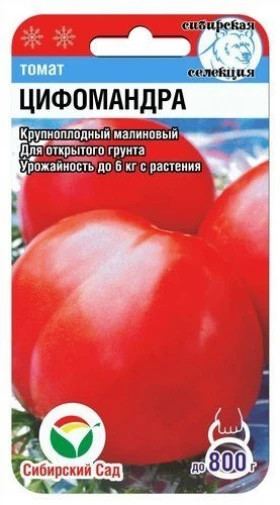 Цифомандра СС