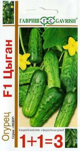 Цыган 1+1 Ц(Г)