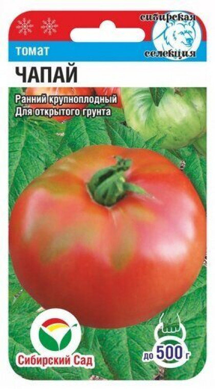 Чапай СС