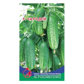 Чародей Киров