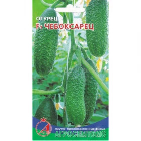 Чебоксарец Киров