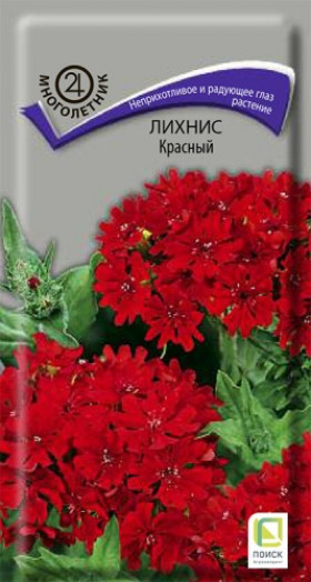 Красный Ц(Поиск) *