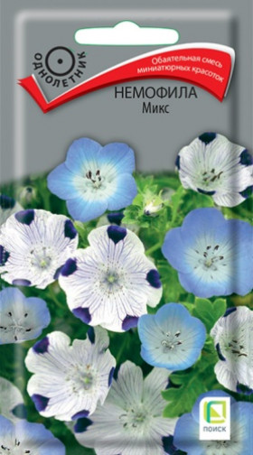 Микс Ц(Поиск) немофила