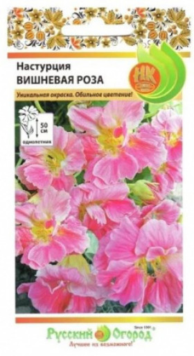 Вишневая роза Ц(Н)