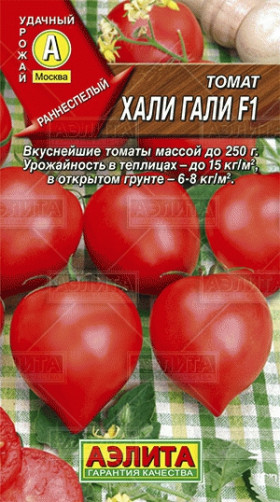 Хали-гали Ц(А)