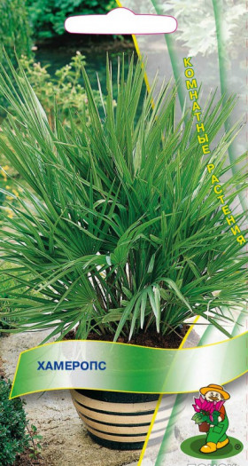 Хамеропс 2 шт. Ц(Поиск)