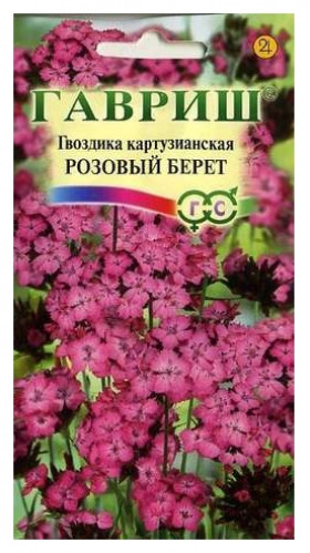 Розовый берет Ц(Г)