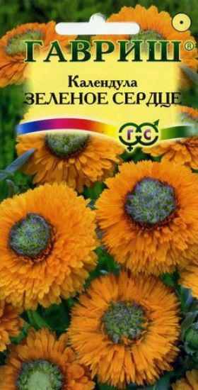 Зеленое сердце Ц(Г)