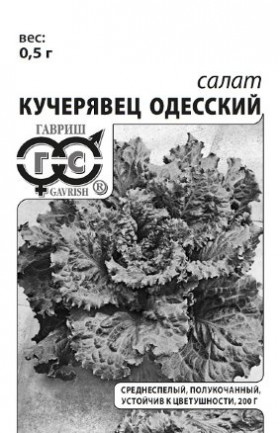 Кучерявец Одесский Б(Г)