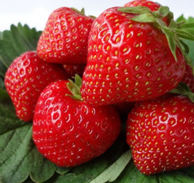 Ламбада 5 шт