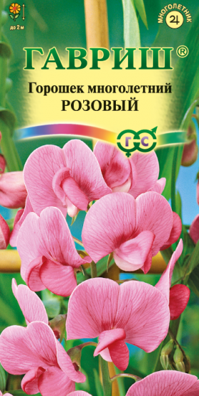 Розовый многол. Ц(Г)