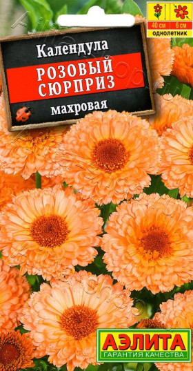 Розовый сюрприз махр. Ц(А)