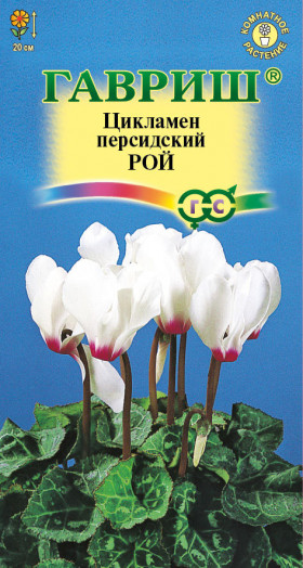 Рой 3 шт Ц(Г)