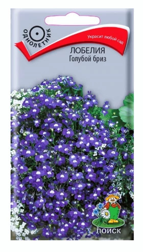 Голубой бриз Ц(Поиск)