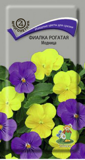 Модница рогатая Ц(Поиск)