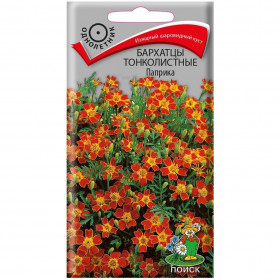 Паприка Ц(Поиск)