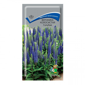 Голубая колосистая Ц(Поиск)