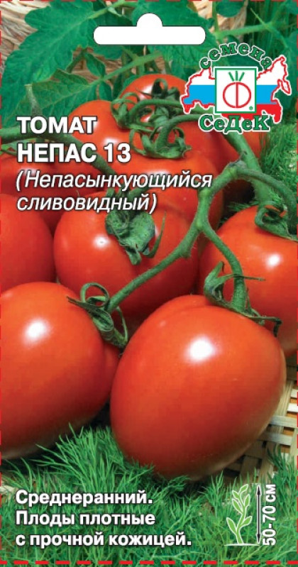 Непас 13 Непасынкующийся Сливовидный Ц(С)