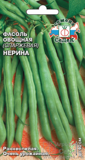 Нерина спаржевая Ц(С)