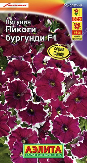 Пикоти Бургунди Ц(А)