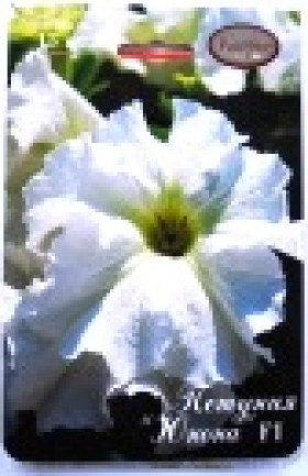 Петуния Юнона Каприс 20*15 шт.