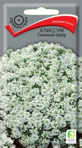 Снежный ковер Ц(Поиск)