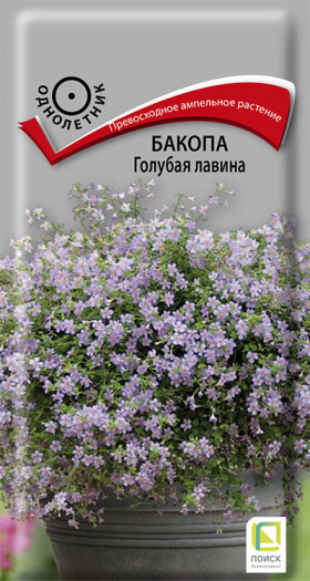 Голубая лавина Ц(Поиск)