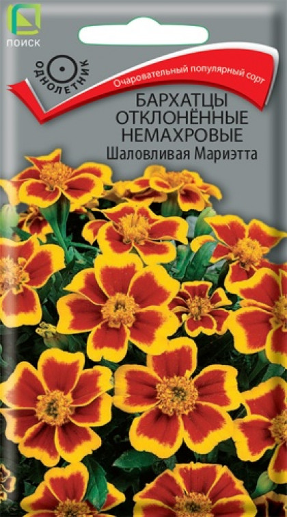 Шаловливая Мариэтта откл Ц(Поиск)