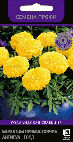 Антигуа Голд прямостоячие Ц(Поиск)