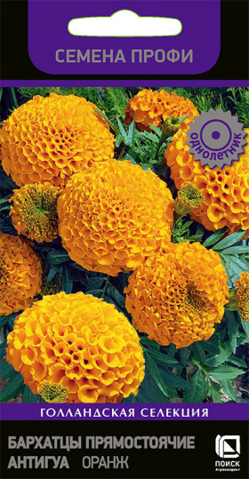 Антигуа Оранж Ц(Поиск)