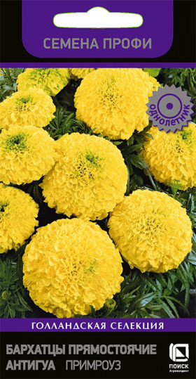 Антигуа Примроуз Ц(Поиск)