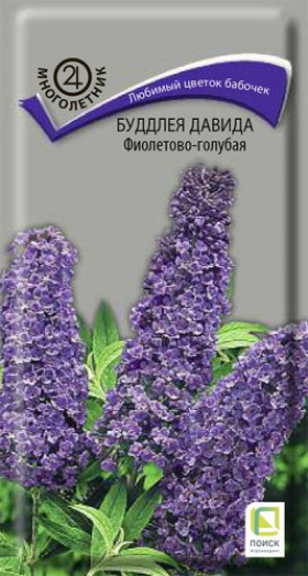 Давида Фиолетово-голубая Ц(Поиск)