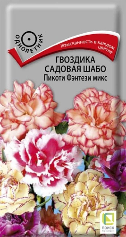 Гвоздика Шабо Пикоти