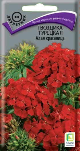 Алая красавица турецкая Ц(Поиск)