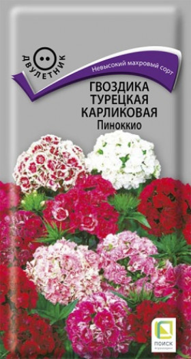 Пиноккио турецкая карликовая Ц(Поиск)