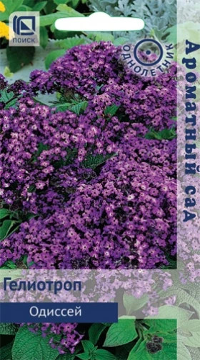 Одиссей Ц(Поиск)