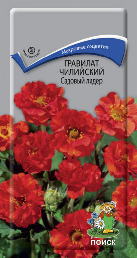 Садовый лидер чилийский Ц(Поиск)